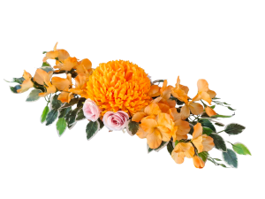 0cb19c5901a62040ad9edb90e900d95d.png